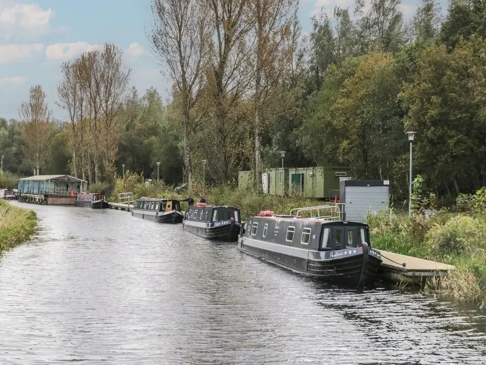 Elm