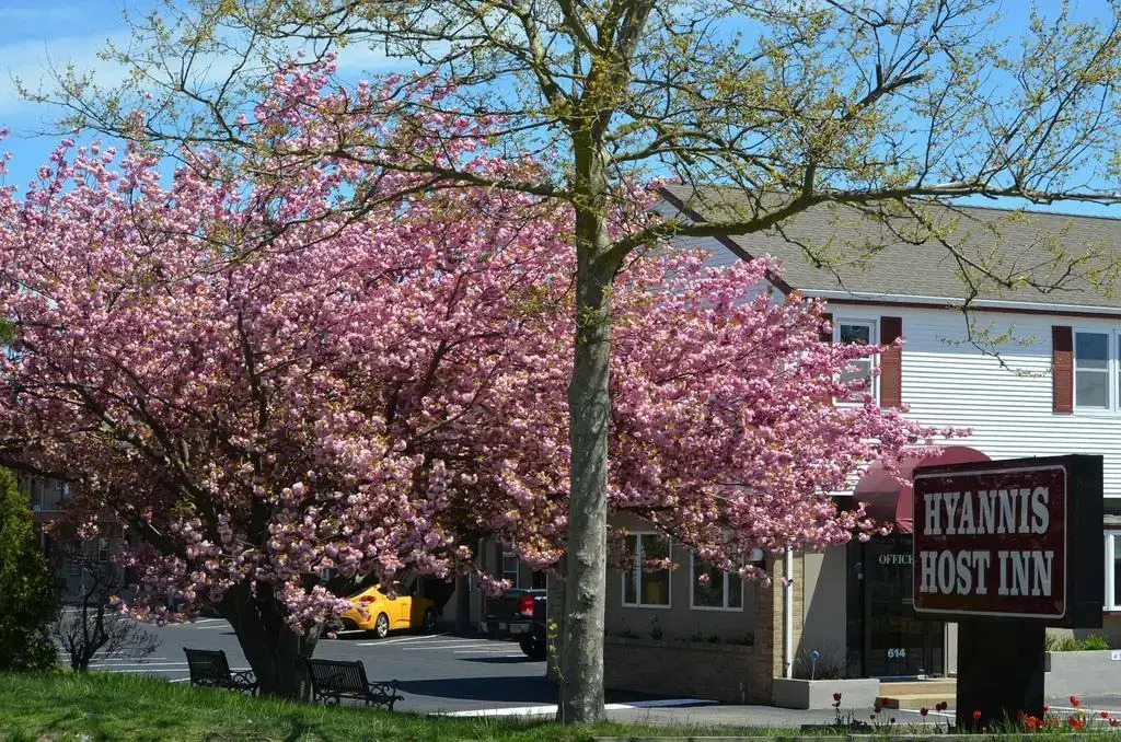 Rodeway Inn Hyannis