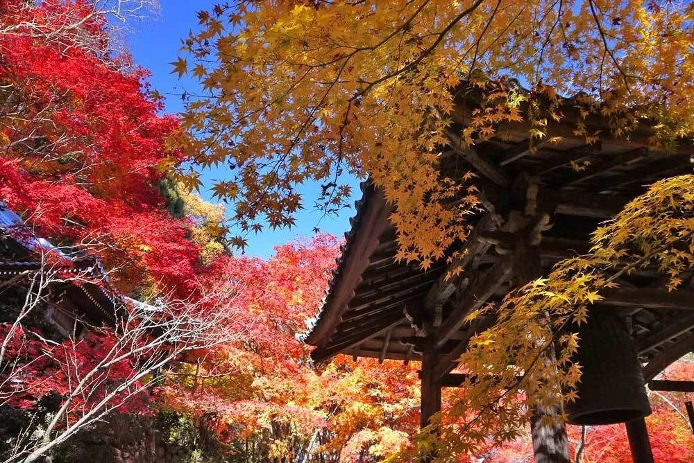 Kyoto Stay SAKURA Toji West 2