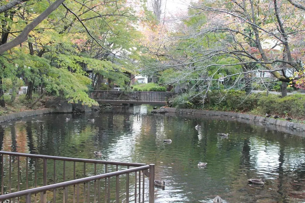 Grape house Koenji