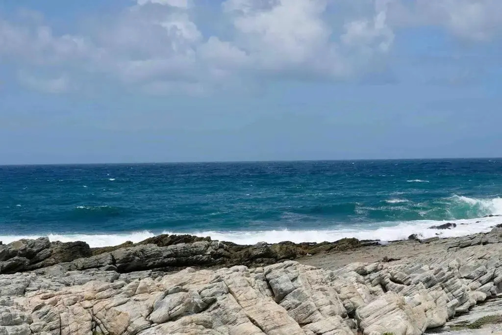 Whales & Waves