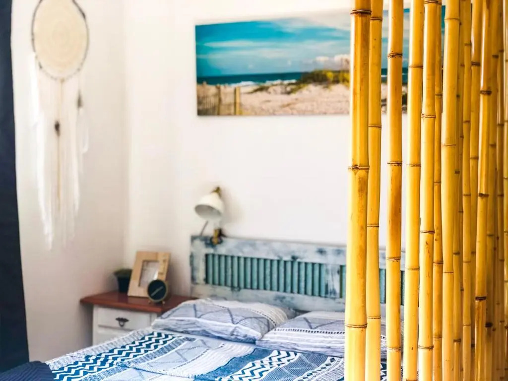 Aloe Studio