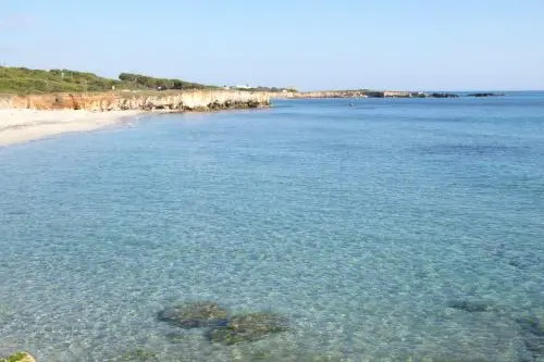 Villa Elcisia