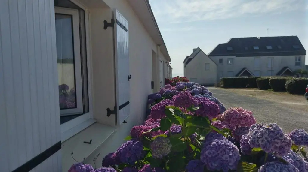 À moins de 100 mètres de la mer a la pointe de Trevignon