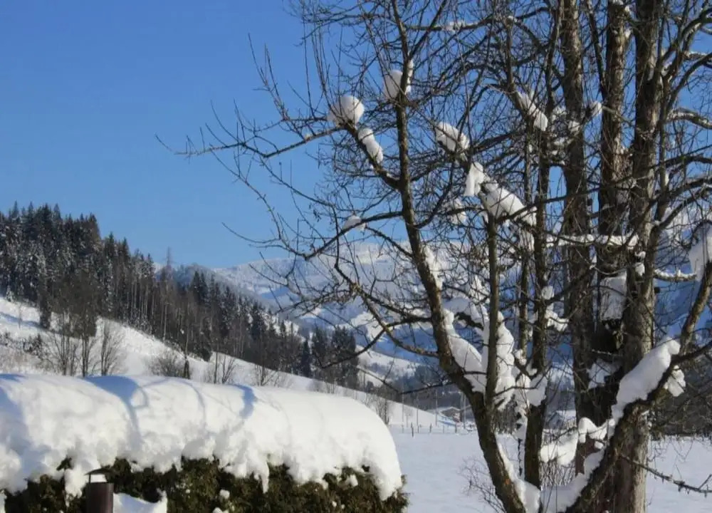 Large holiday home with plenty of privacy