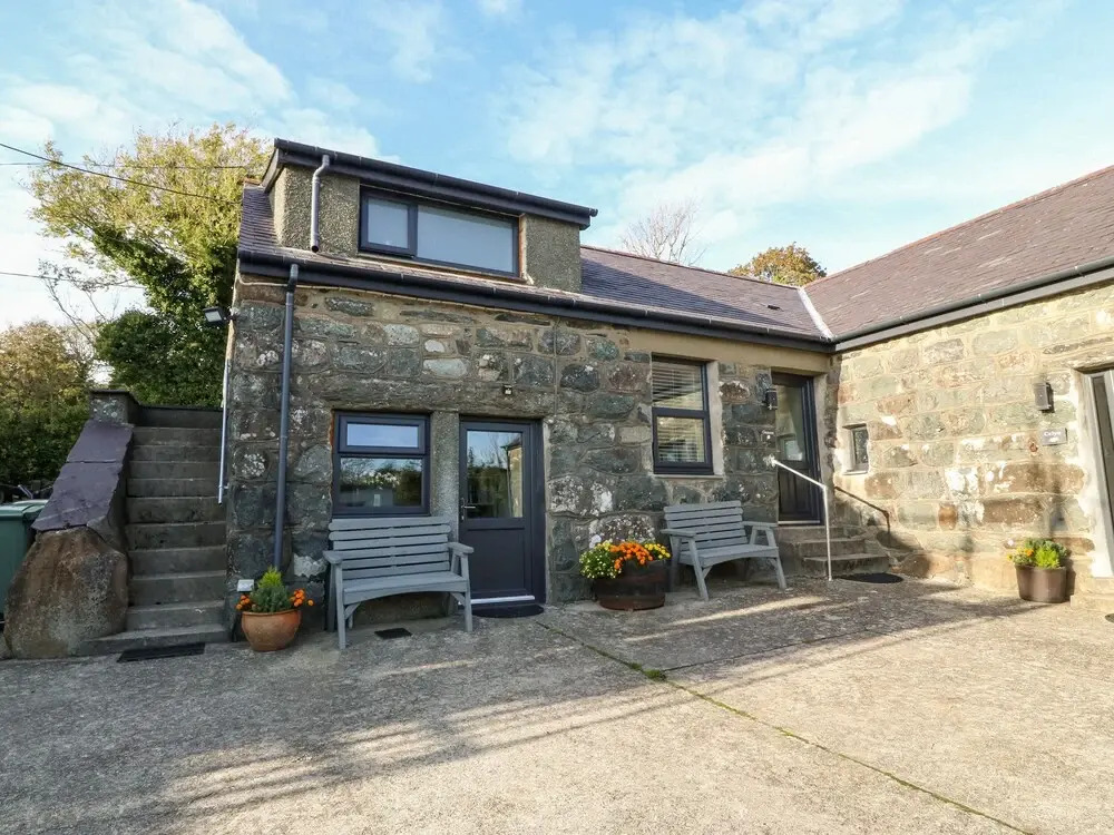 Tyddyn Sianel - Celyn