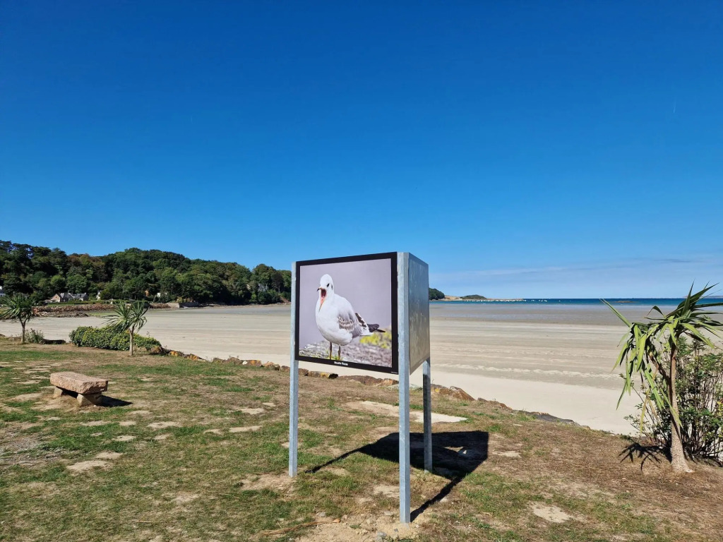 Premium holiday home with living comfort at the highest level, Ploumilliau