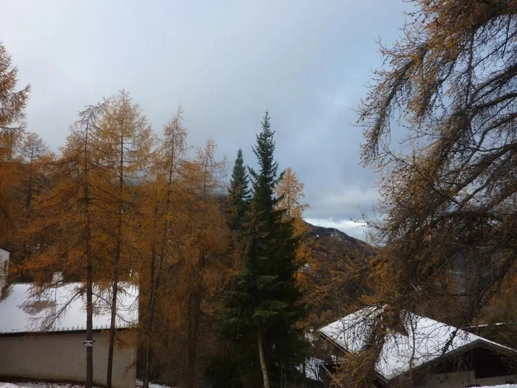 Appartement Les Orres, 1 pièce, 4 personnes - FR-1-322-390