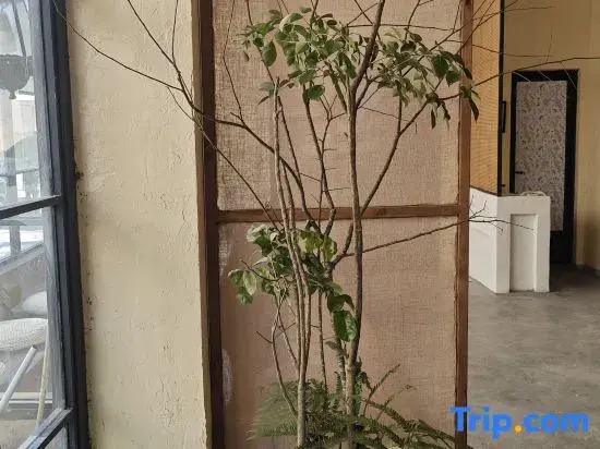 yuanyang Muya Homestay