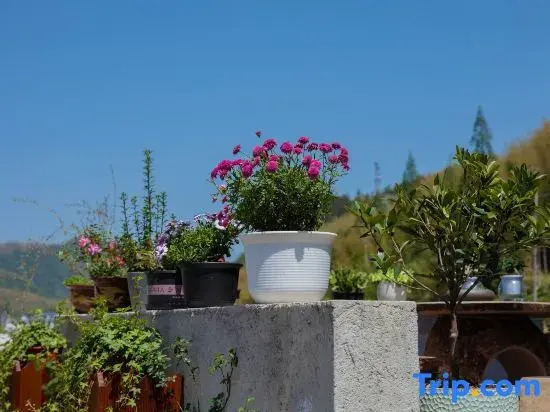 Yunmeng Xiaozhu Homestay