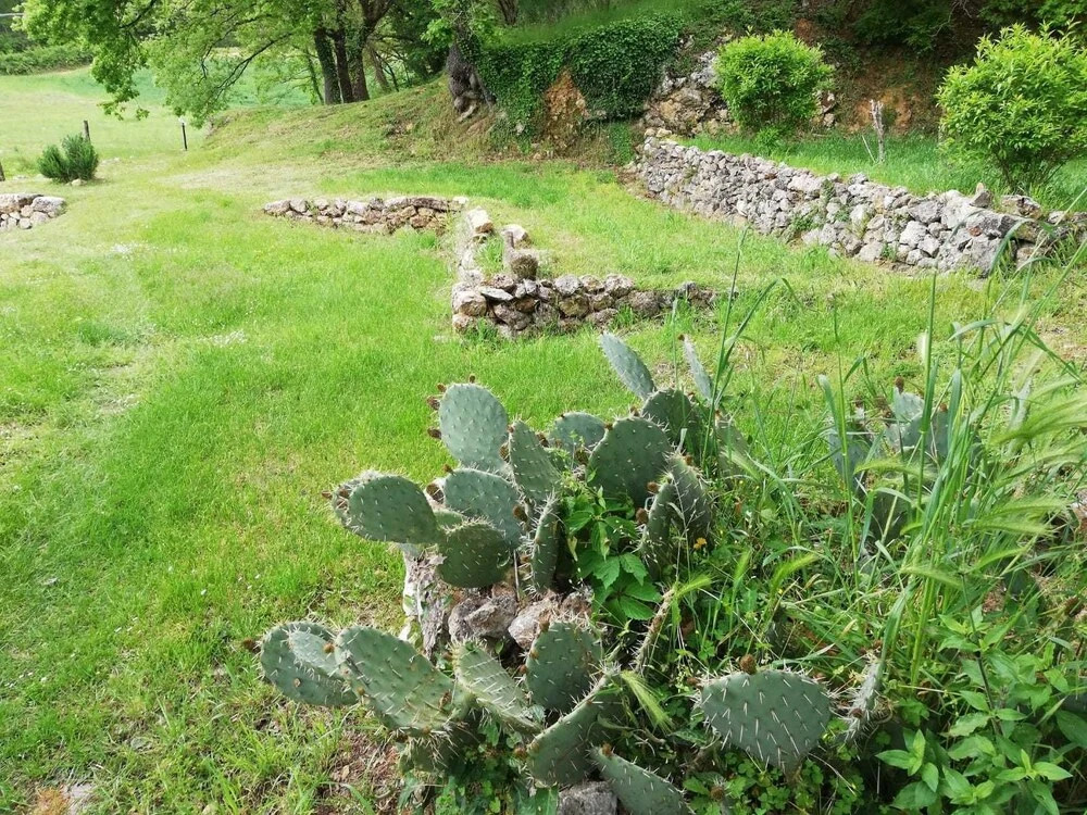 Agriturismo La Magia