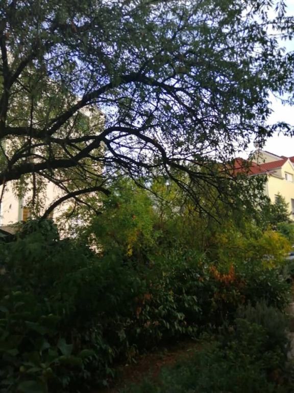 Charming Apartment Center Split Terrace & Parking