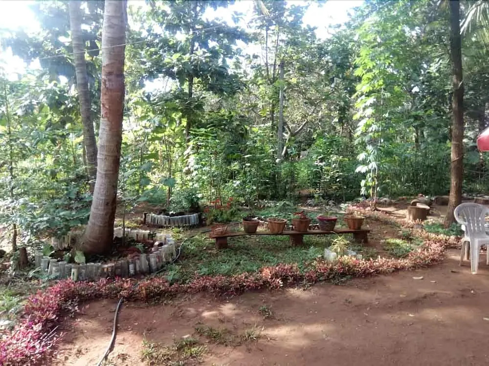 Yoho Mango Tree Home Stay & Hostel