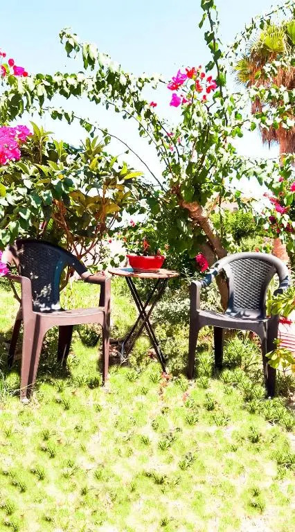 Yucca Studio, beautiful apartment with garden