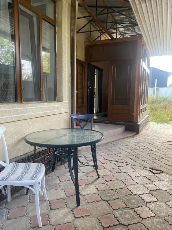 Hostel lion