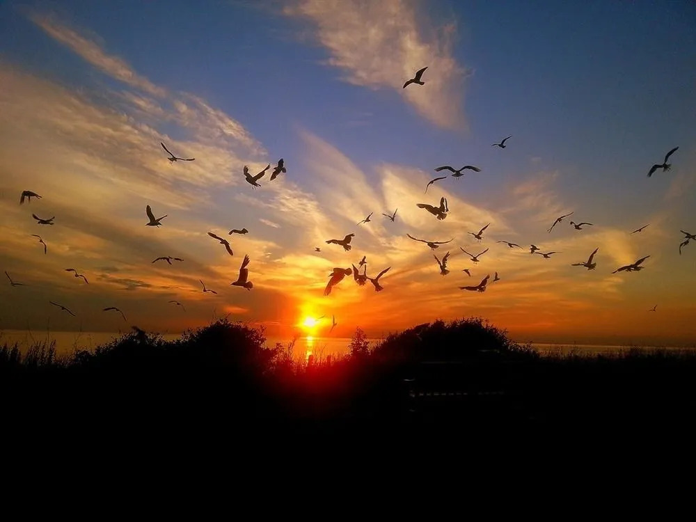 Sunset Guest House