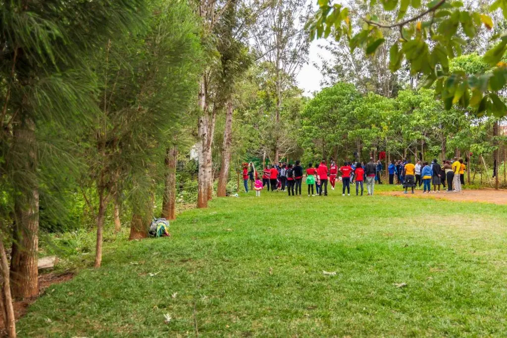 Olive Green Resort Nairobi