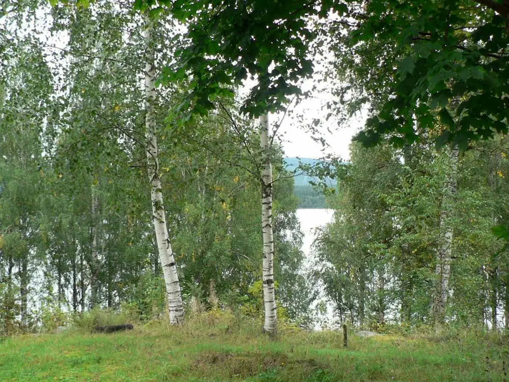 4 Person Holiday Home in Östmark