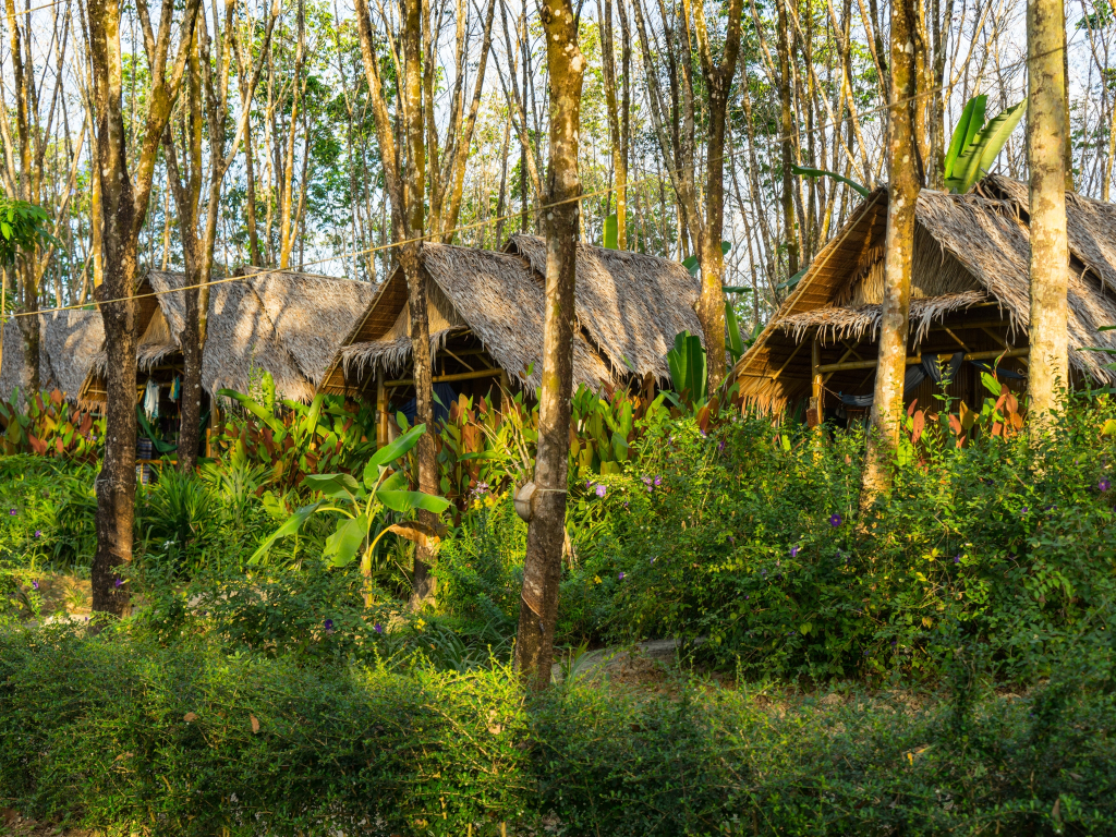 Rabbit Bungalow