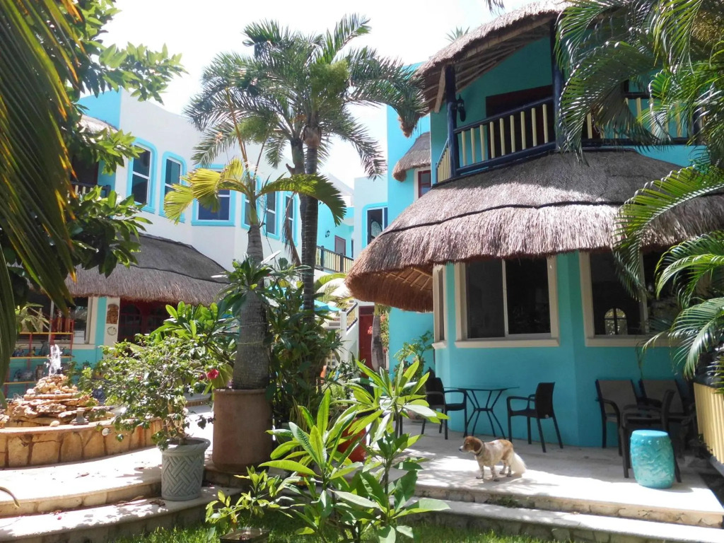Casa Gatos One Bedroom Apt #100
