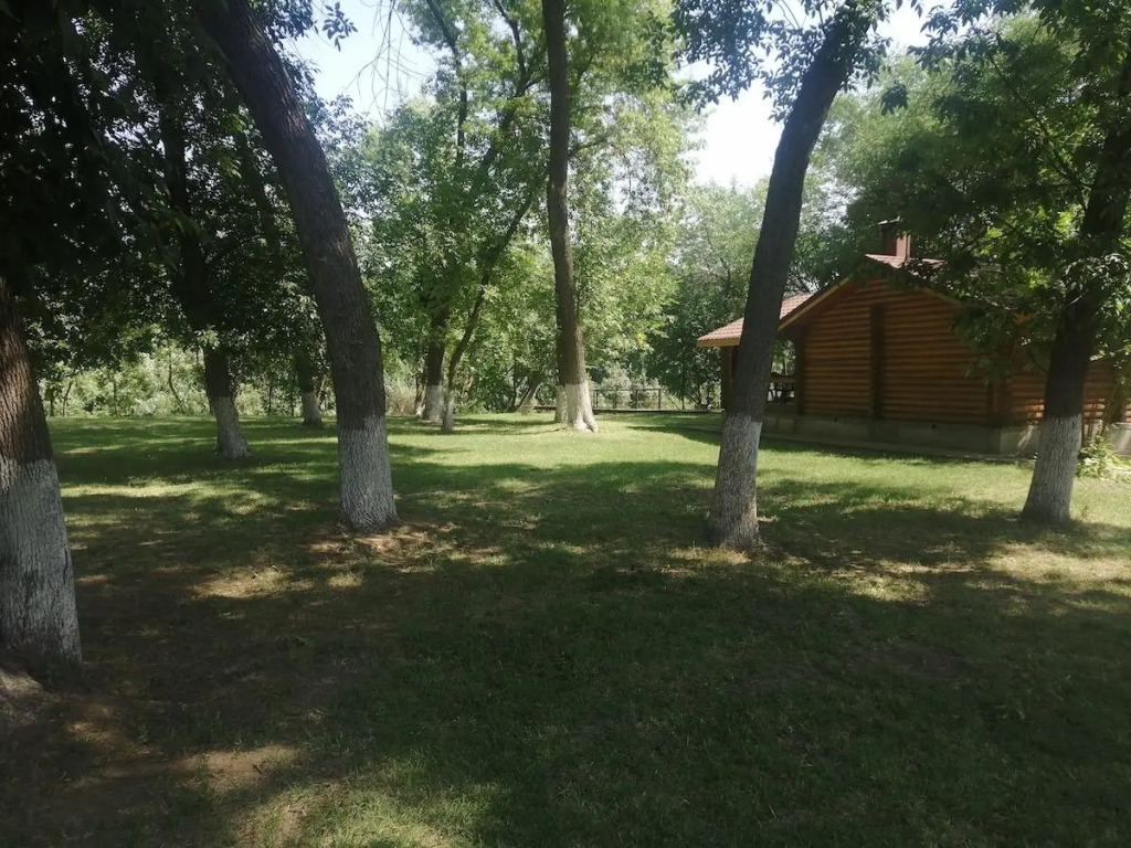 Лесная