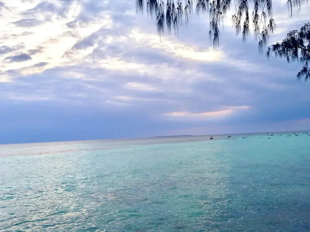 Miska Zanzibar
