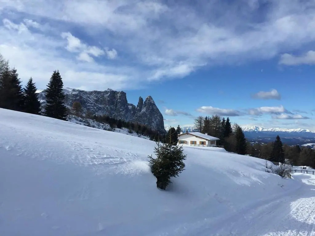 Appartamento Siusi allo Sciliar