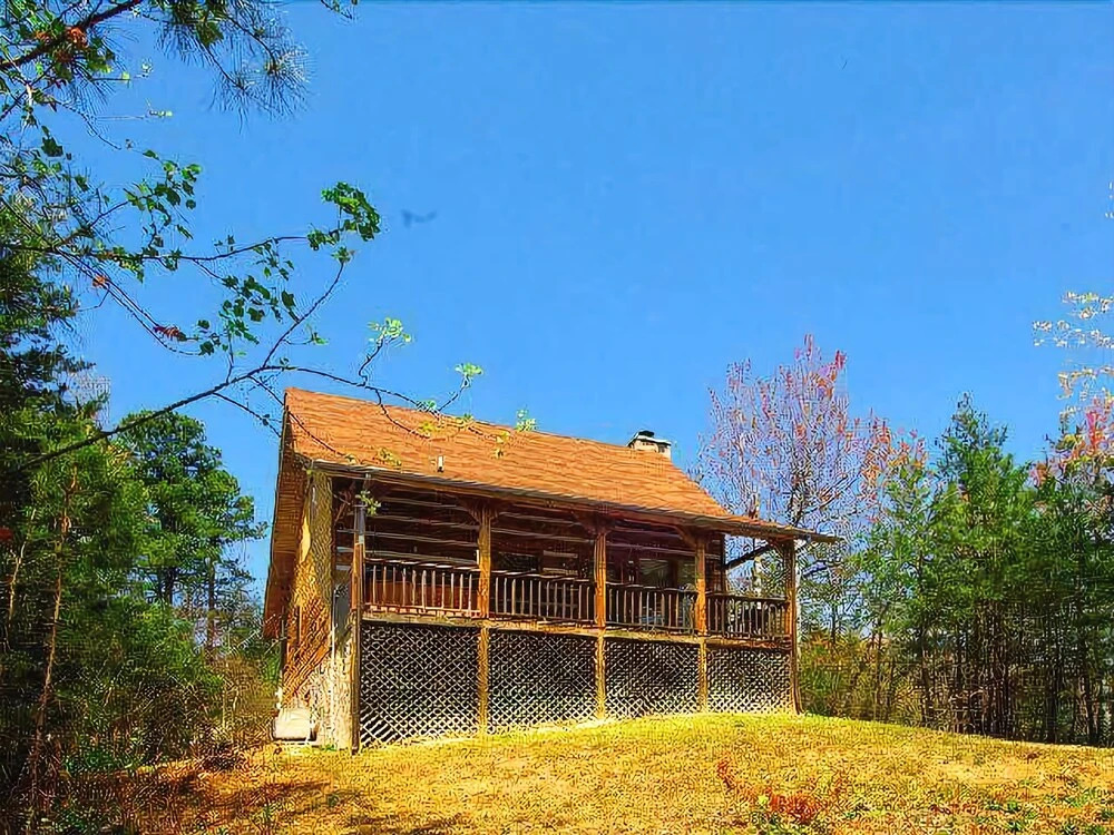 Moose Tracks 1 Bedroom Cabin by RedAwning