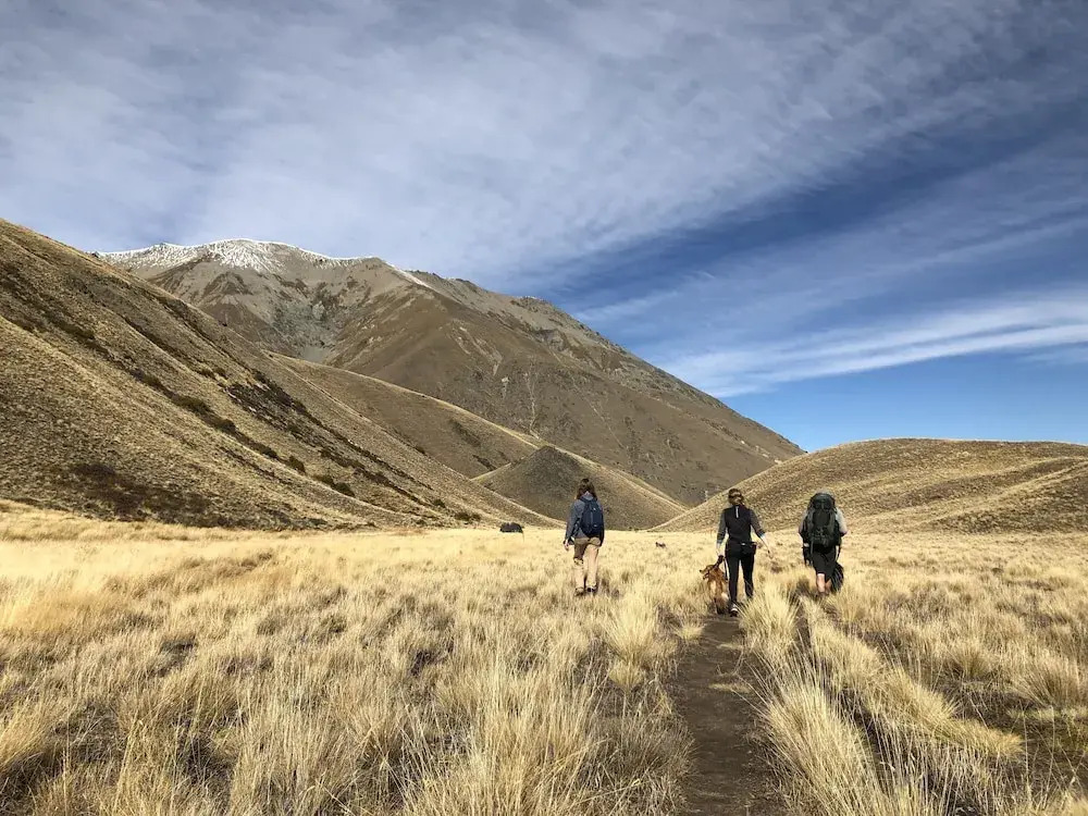 Tailor Made Tekapo Accommodation - Hostel