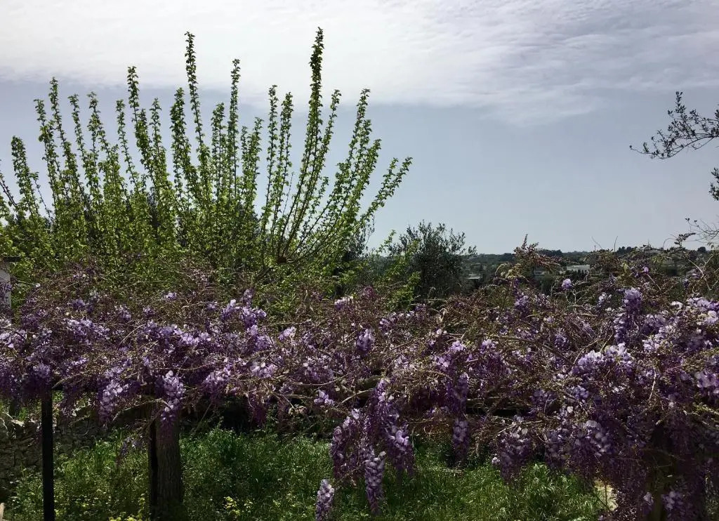 Villa Enea Monopoli