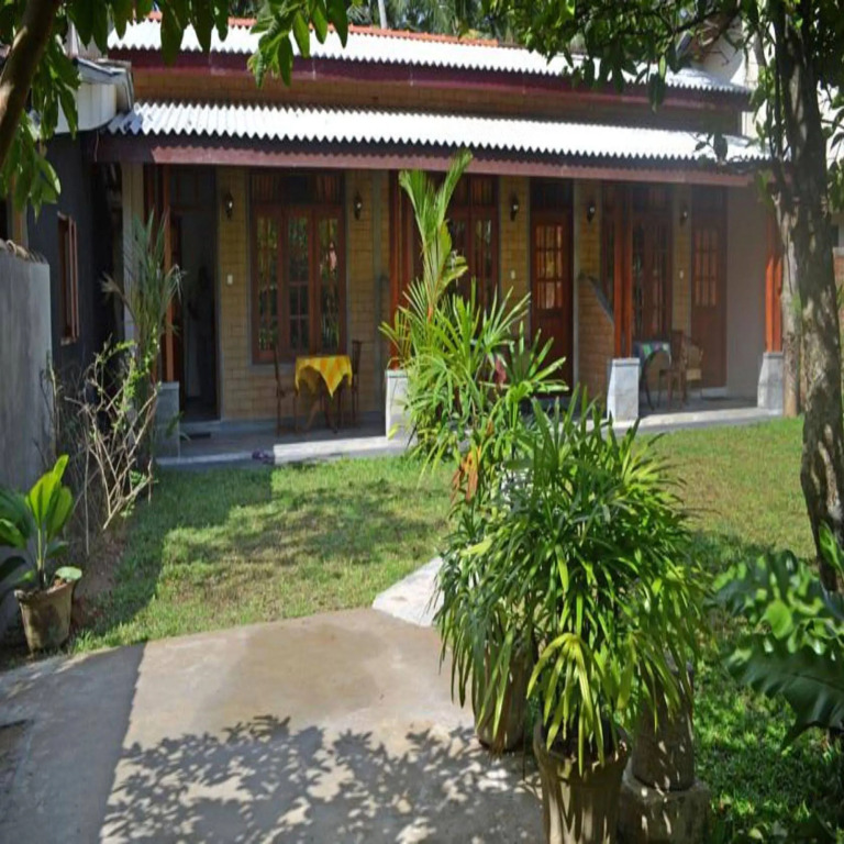 DANDELION - Unawatuna