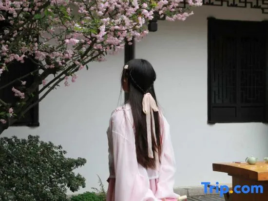 Zhenfengxuan Holiday Courtyard