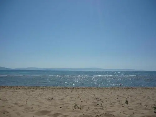 Siskos