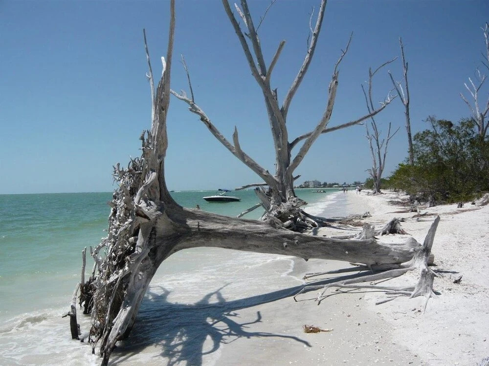 Villa Cape Florida