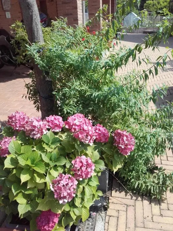 Agriturismo Doremi