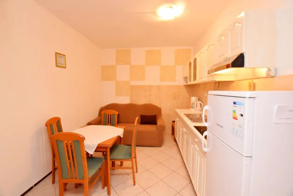 Apartment Ivan Vrsi
