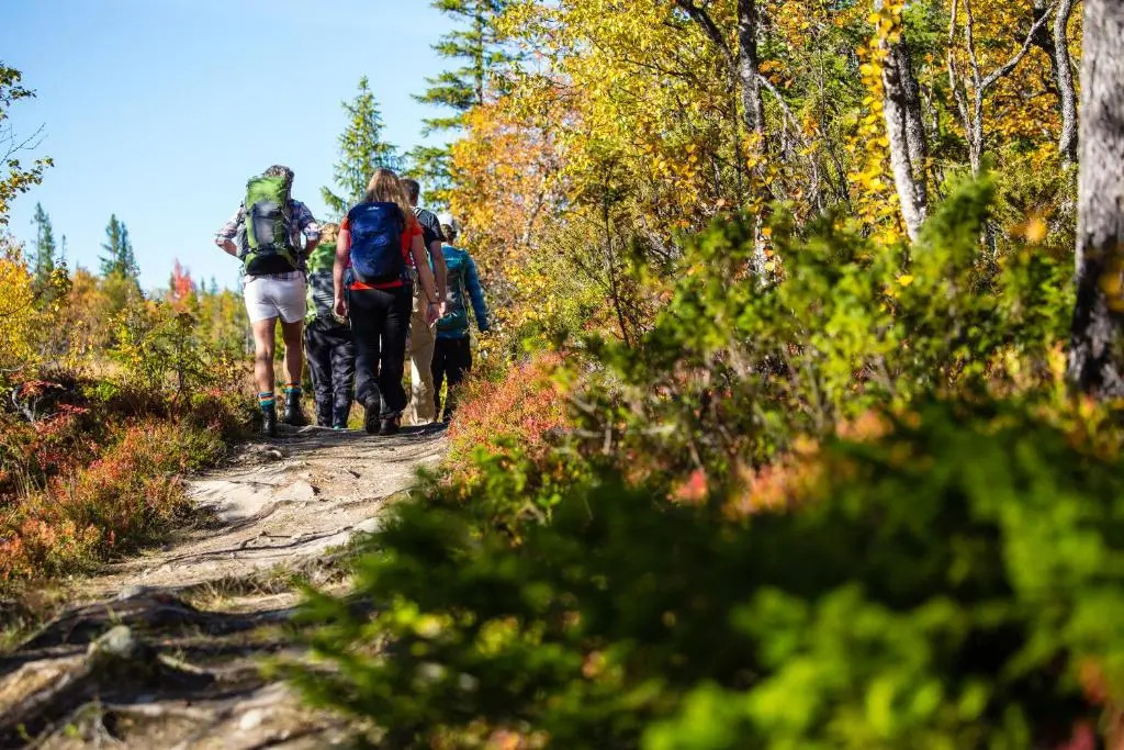 Åre Travel - Åre Fjällbyn