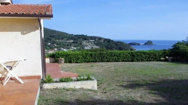 Capoliveri Punta Morcone bilo
