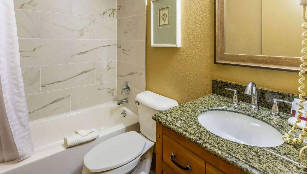 Park Inn by Radisson, Detroit Metro Airport