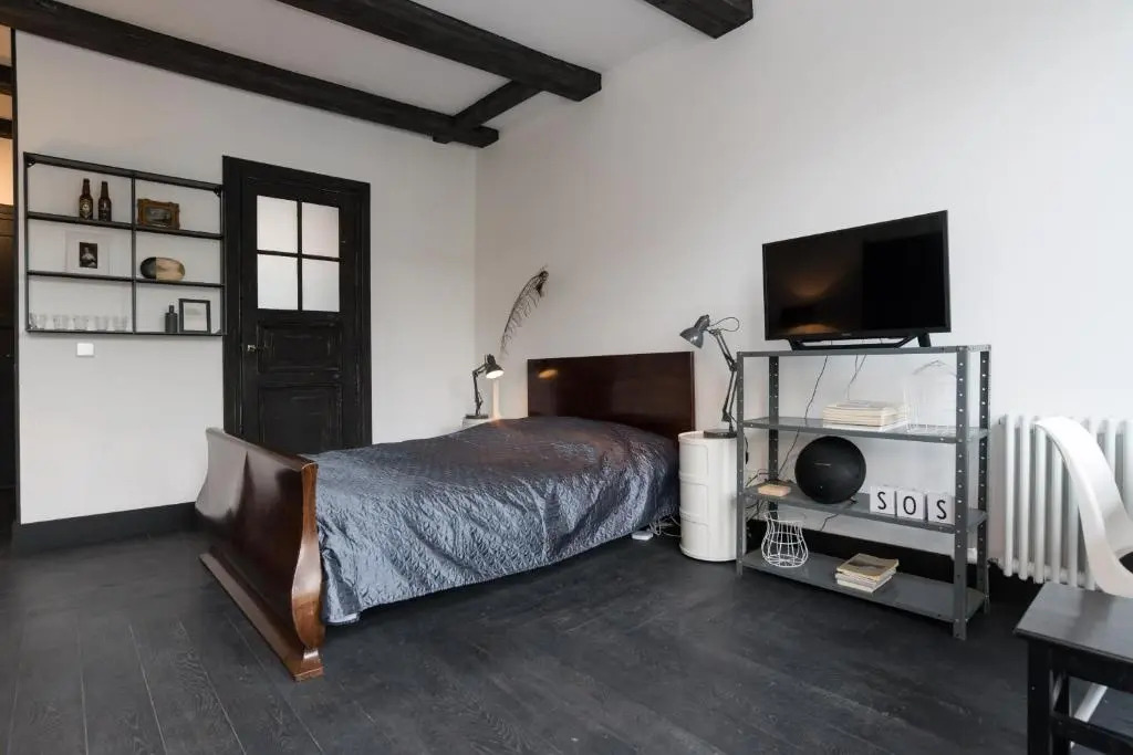 JoyJoyJoy the Black Beauty ecolicious studio in a canal house with French balcony with view on the canals