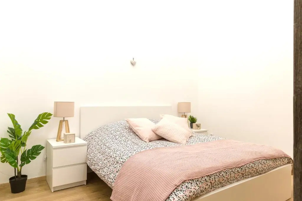 Appartement grand standing VAUBAN 10 Personnes centre historique de Colmar