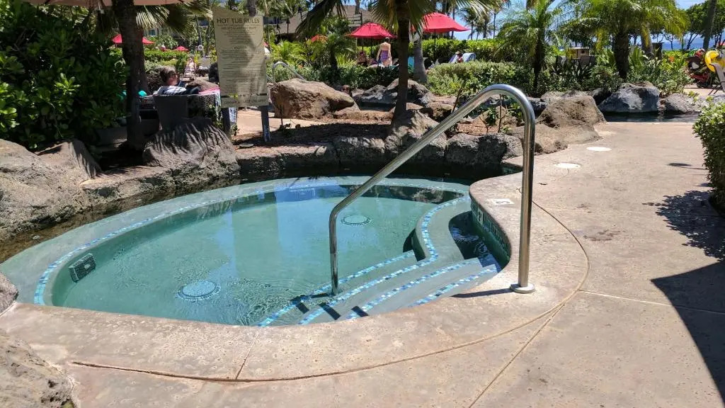 Maui Westside: Honua kai Konea 312/314