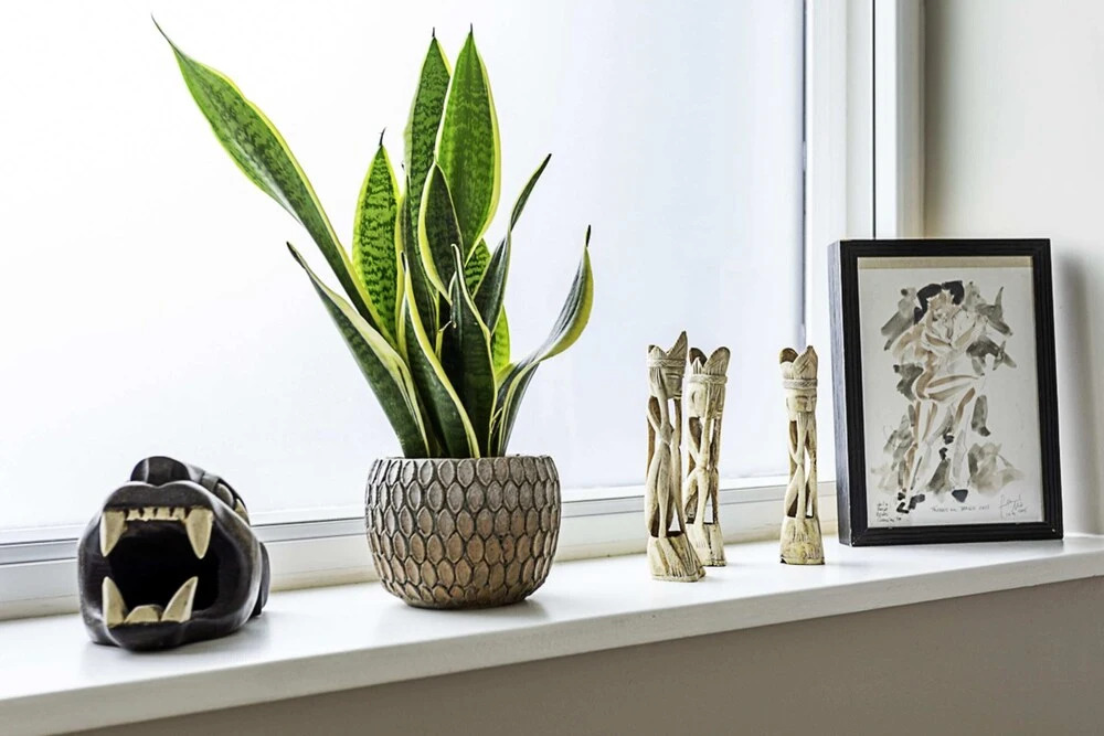 Well-decorated Notting Hill Flat
