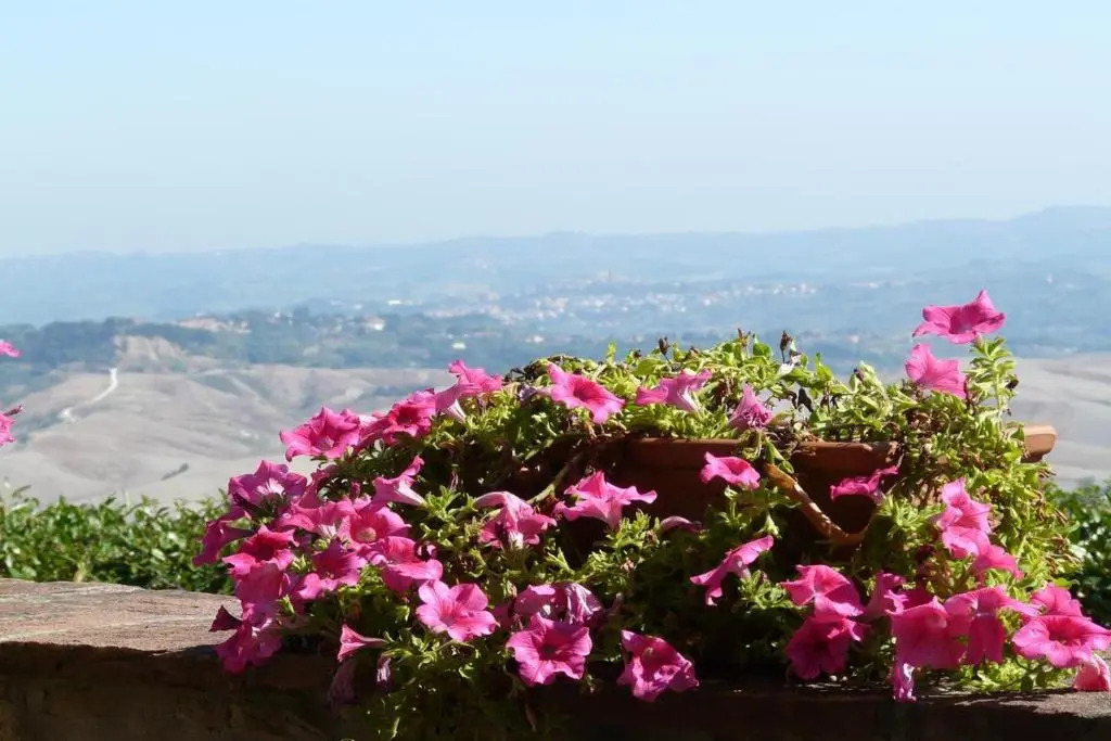 Podere Cimpoli