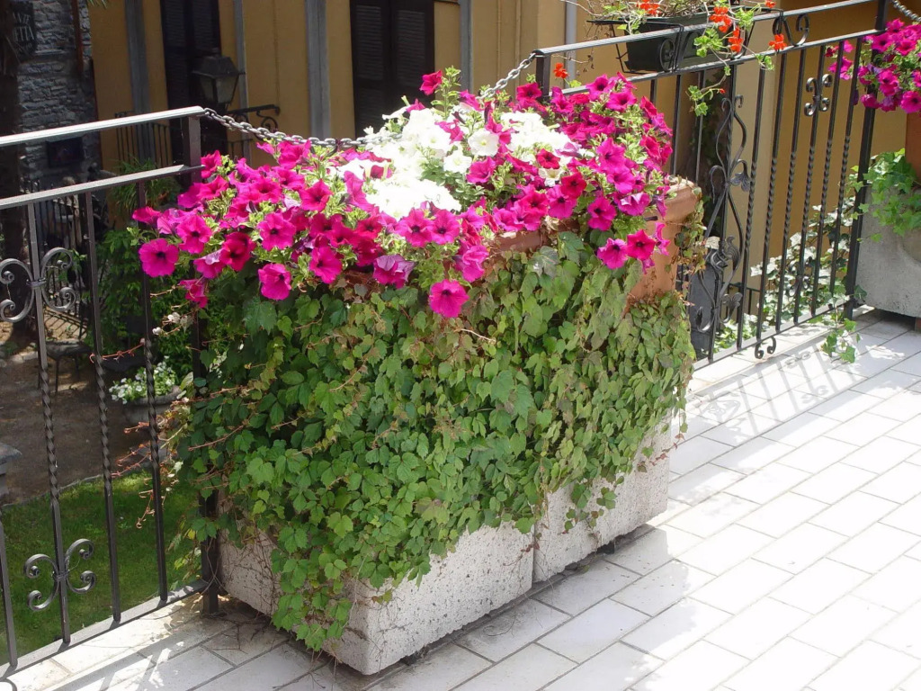 Hotel Centrale Bellagio