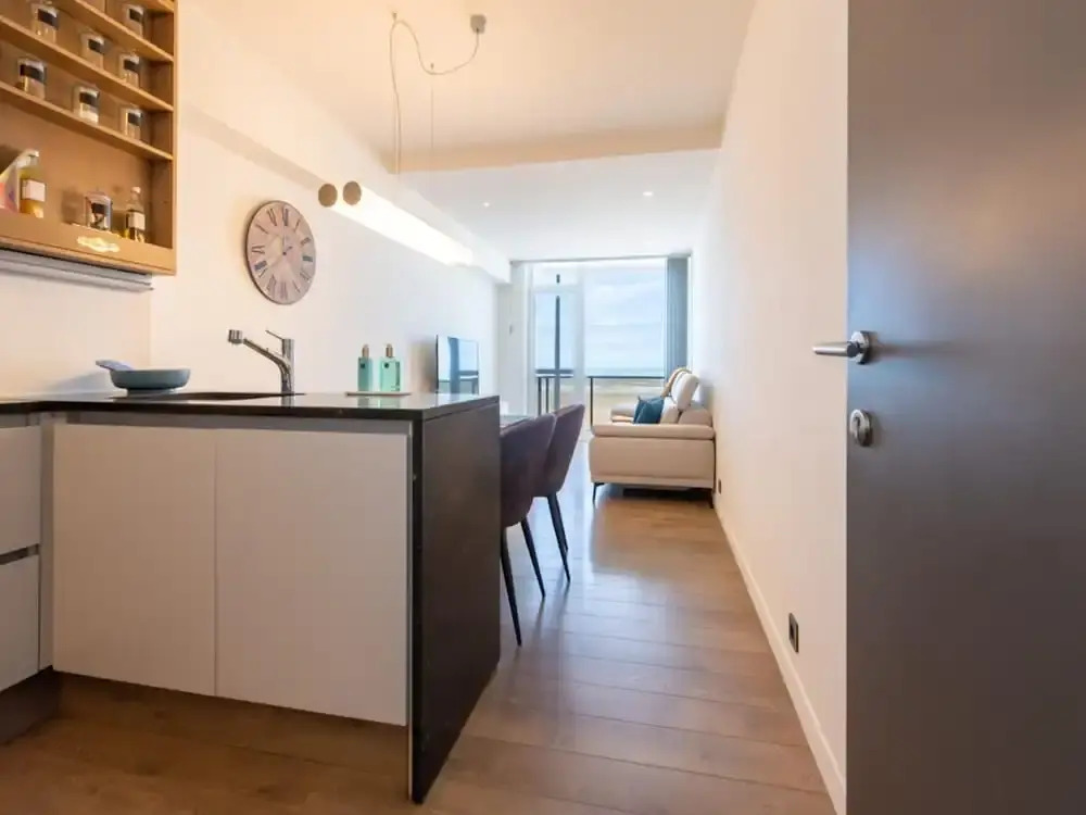 Apartment With Frontal sea View in Raversijde
