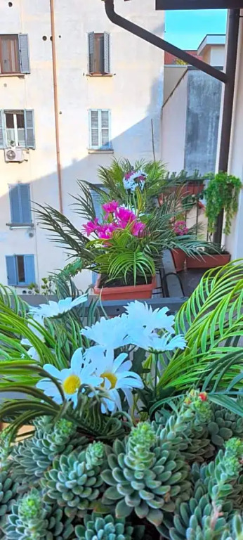 B&B Milano Center