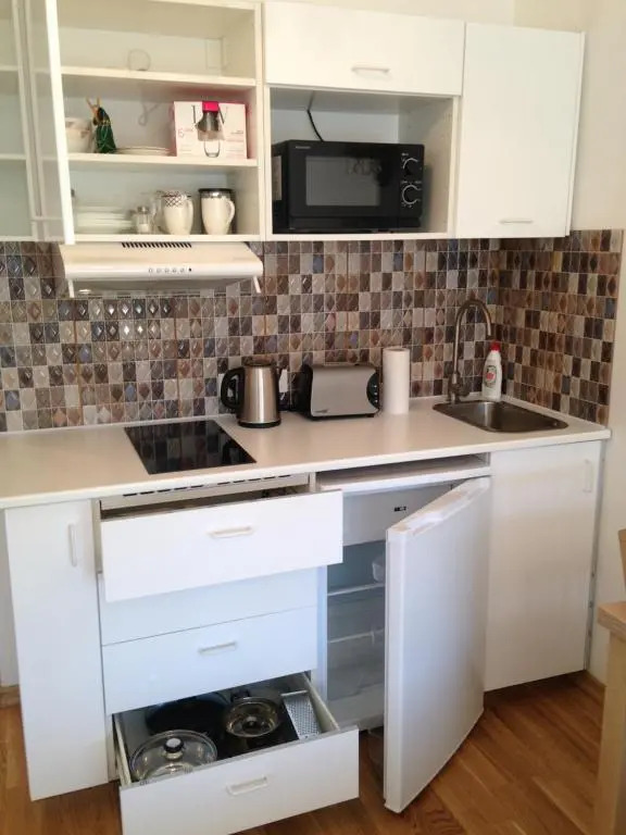 Apartment Druskonis