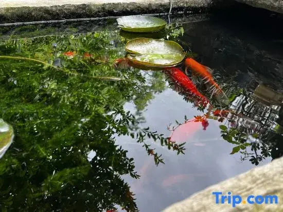 Qingyan Yifang Courtyard Homestay