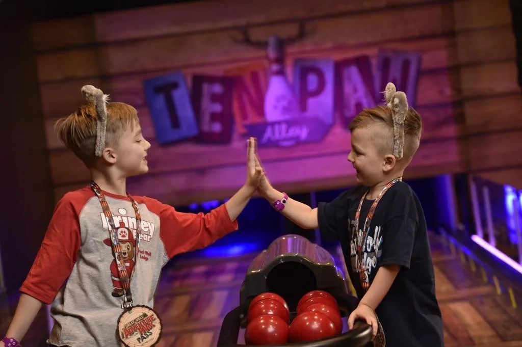 Отель Great Wolf Lodge Bloomington